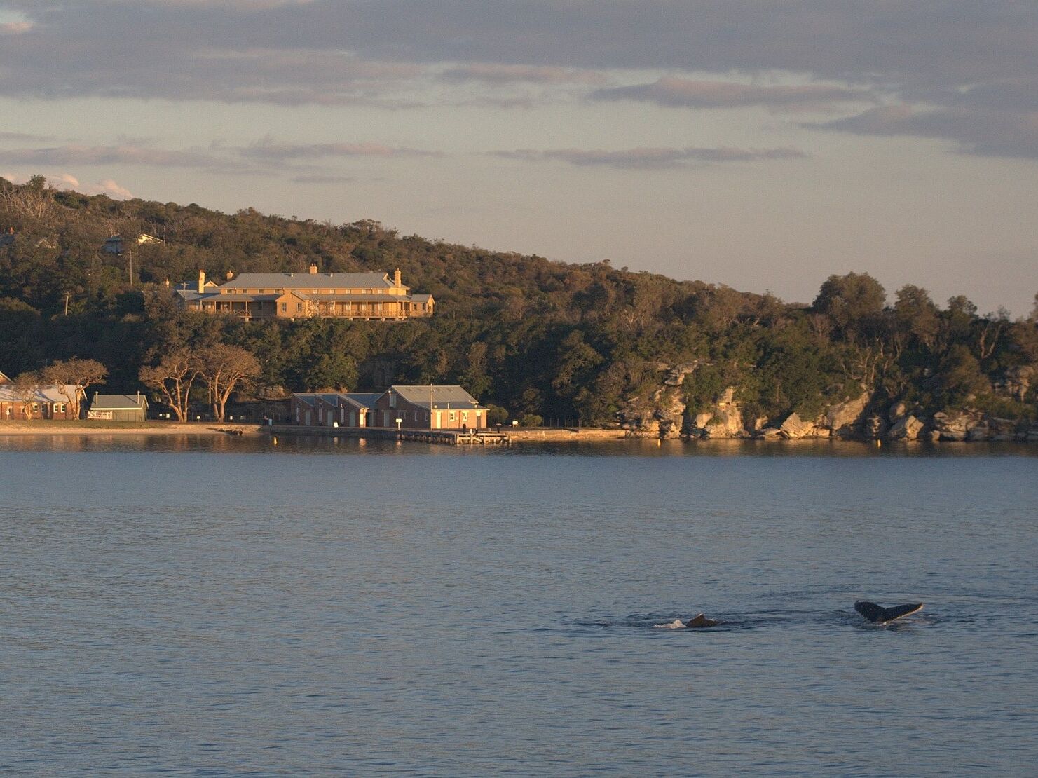 Picture of North Head Quarantine Station