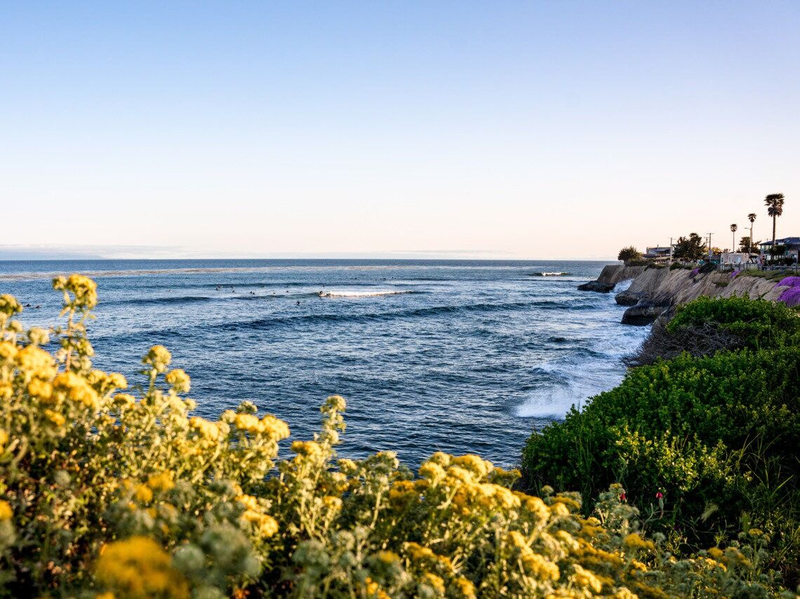 Picture of Pleasure Point