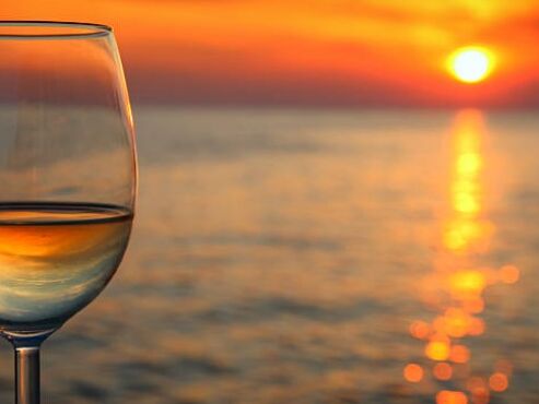 Picture of Baja Wine and Dine Tours