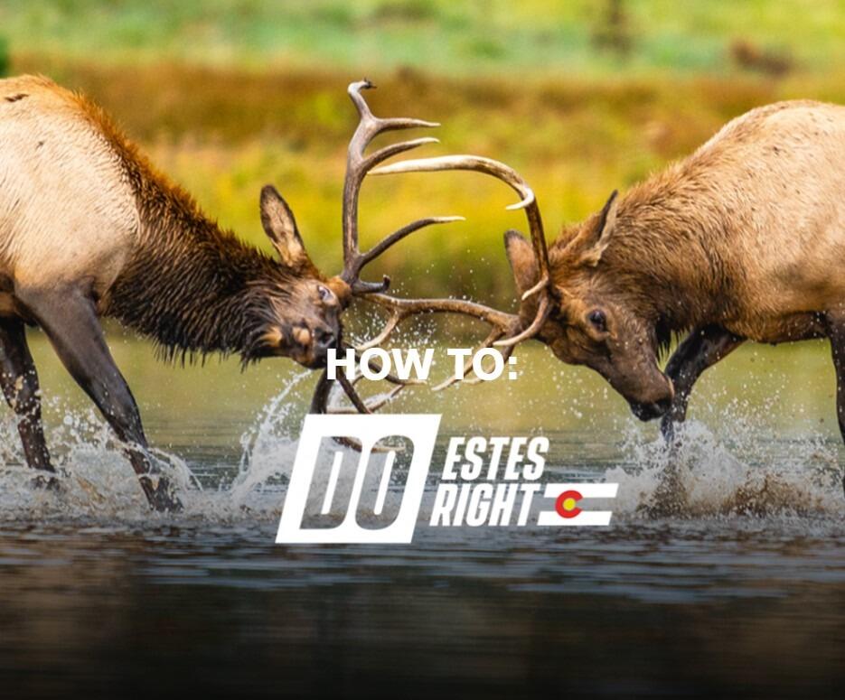 Picture of Official Visit Estes Park Guide