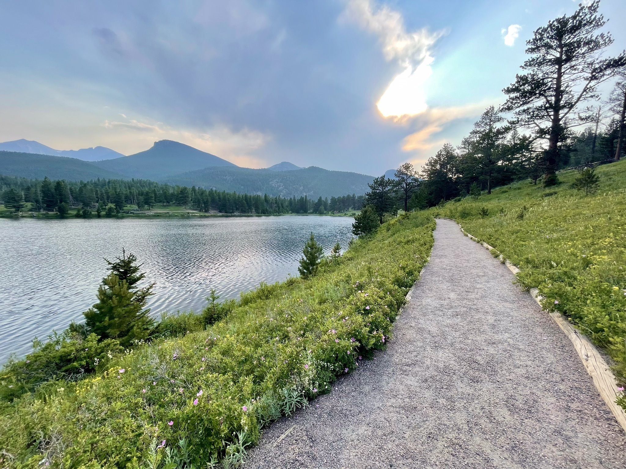 Picture of Lily Lake | Easy