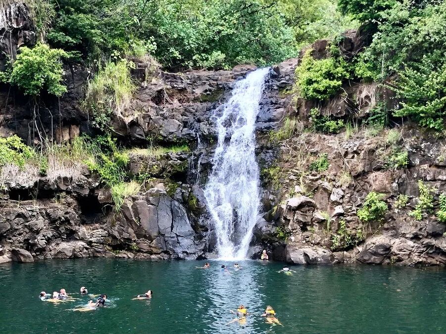 Picture of Waimea Botanical Garden