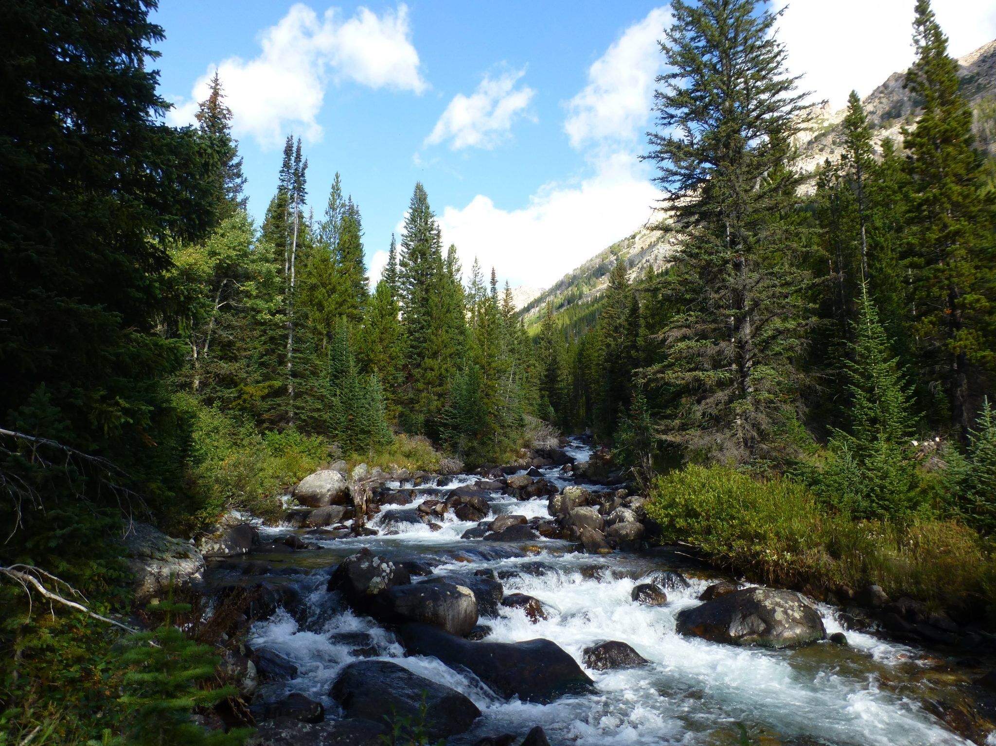 Picture of Hiking