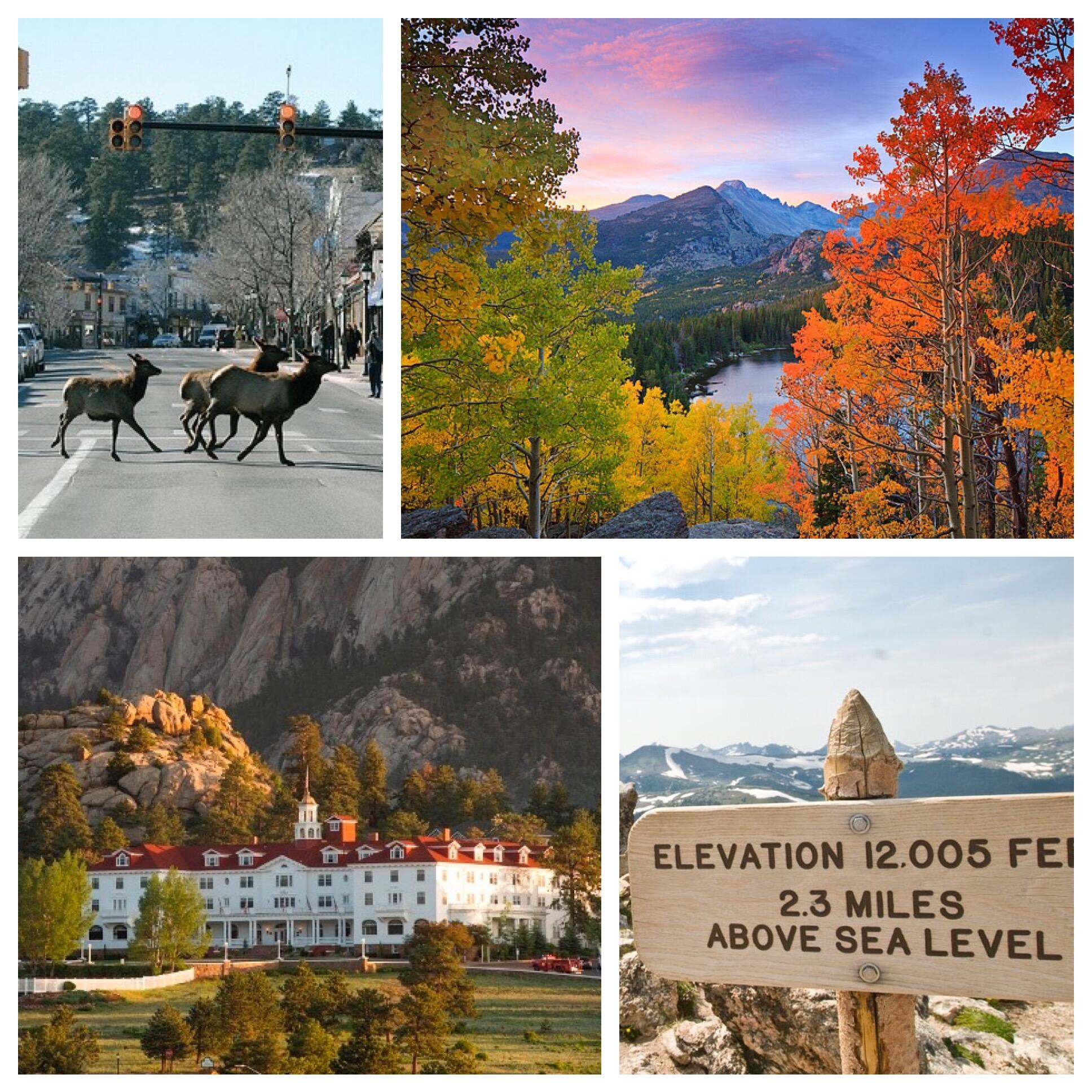 Picture of Estes Park & Rocky Mountain National Park