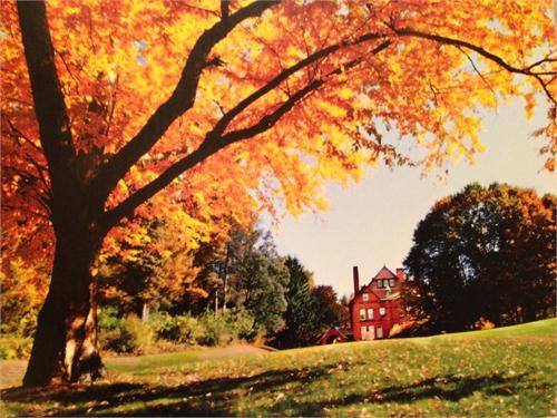 Picture of The Stevens Estate