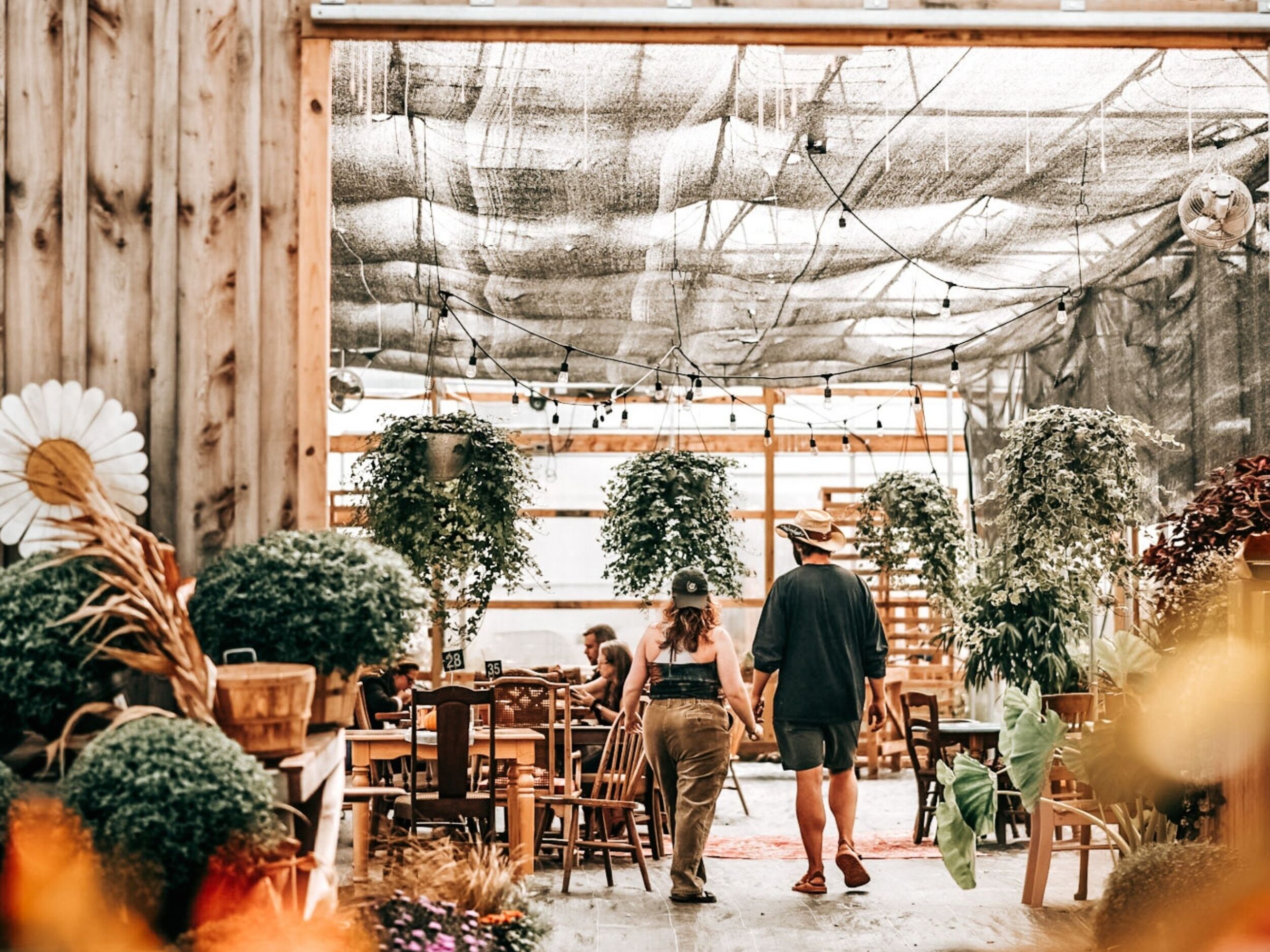Picture of Crazy Daisies Flowers & Garden Cafe