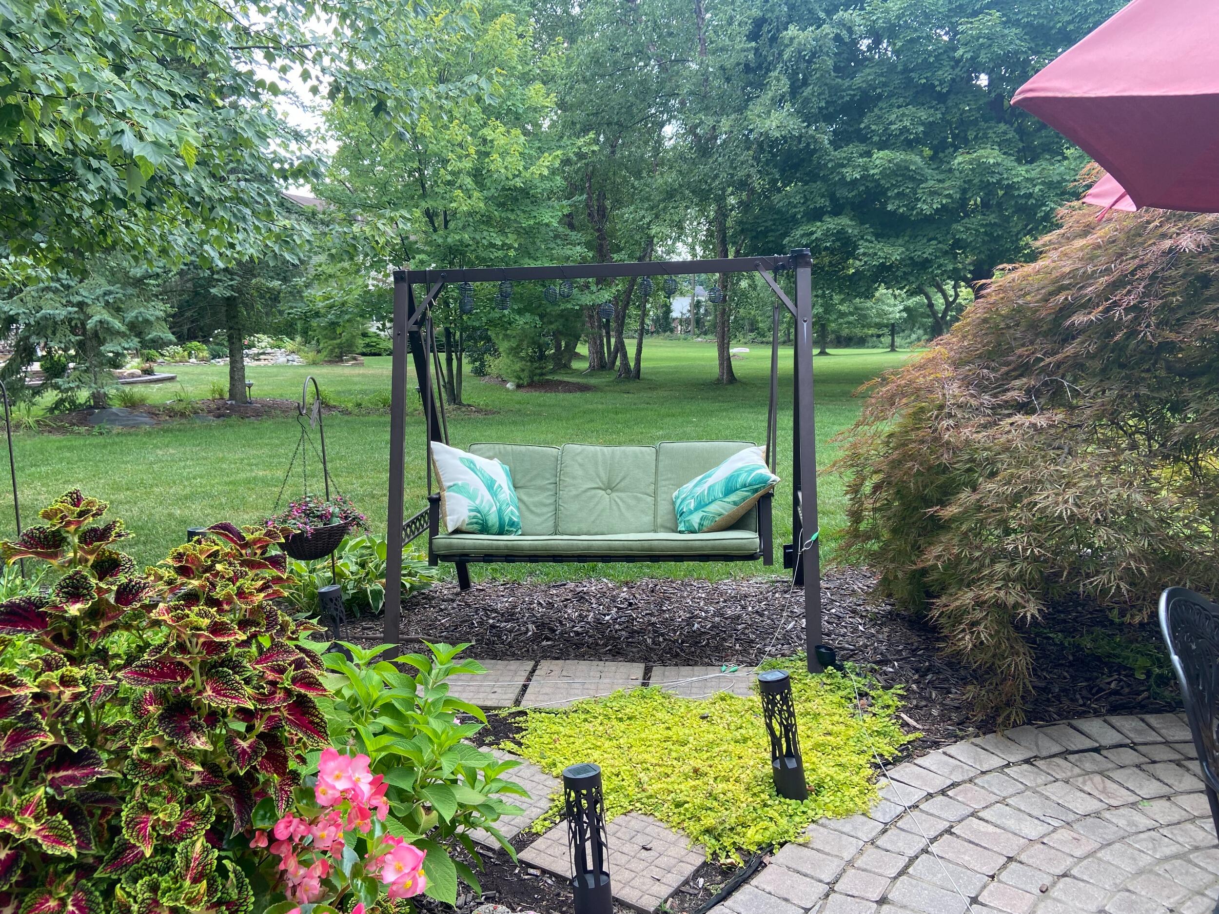 Picture of It all started here on this very swing in the Zack’s backyard! 