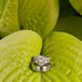 Elegant Silver Wedding Rings