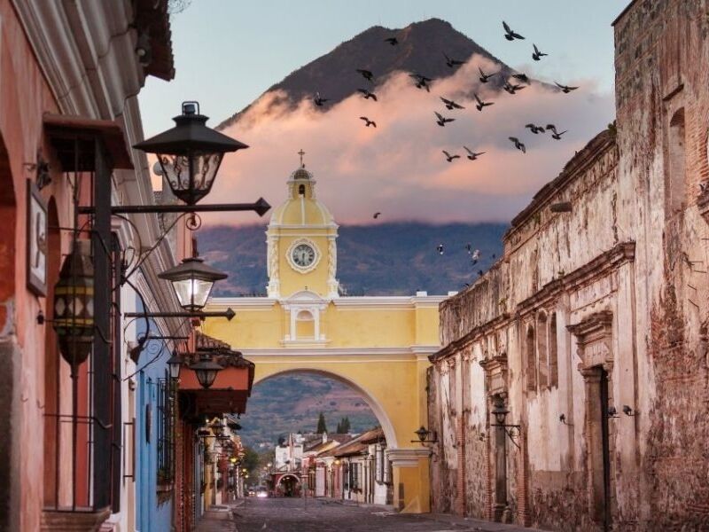Picture of Walk the town
