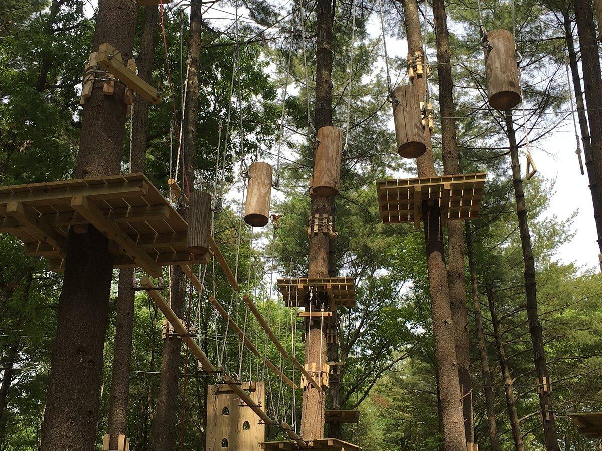 Picture of TreeTop Adventures