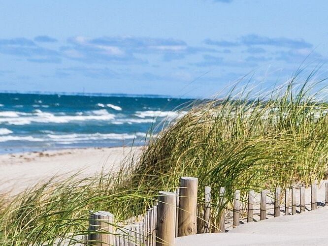 Picture of Cape Cod 