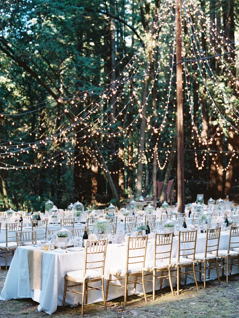 Tented Lights wedding lighting idea