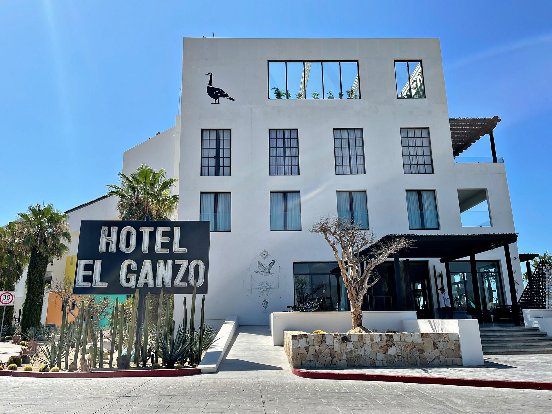 Picture of Hotel El Ganso