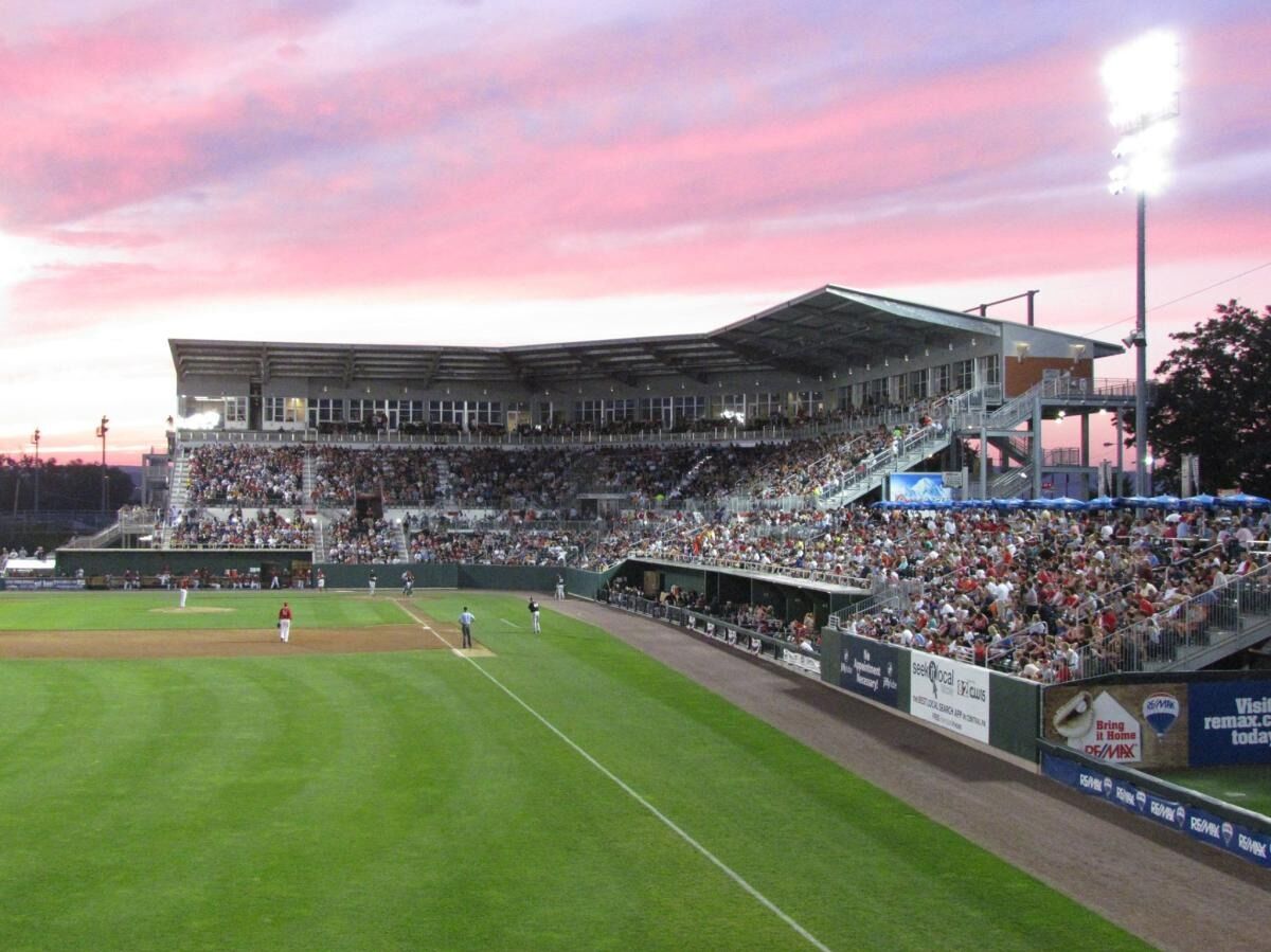 Picture of Harrisburg Senators