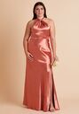 Birdy Grey Monica Dress Curve in Terracotta Halter Bridesmaid Dress - thumbnail - 2