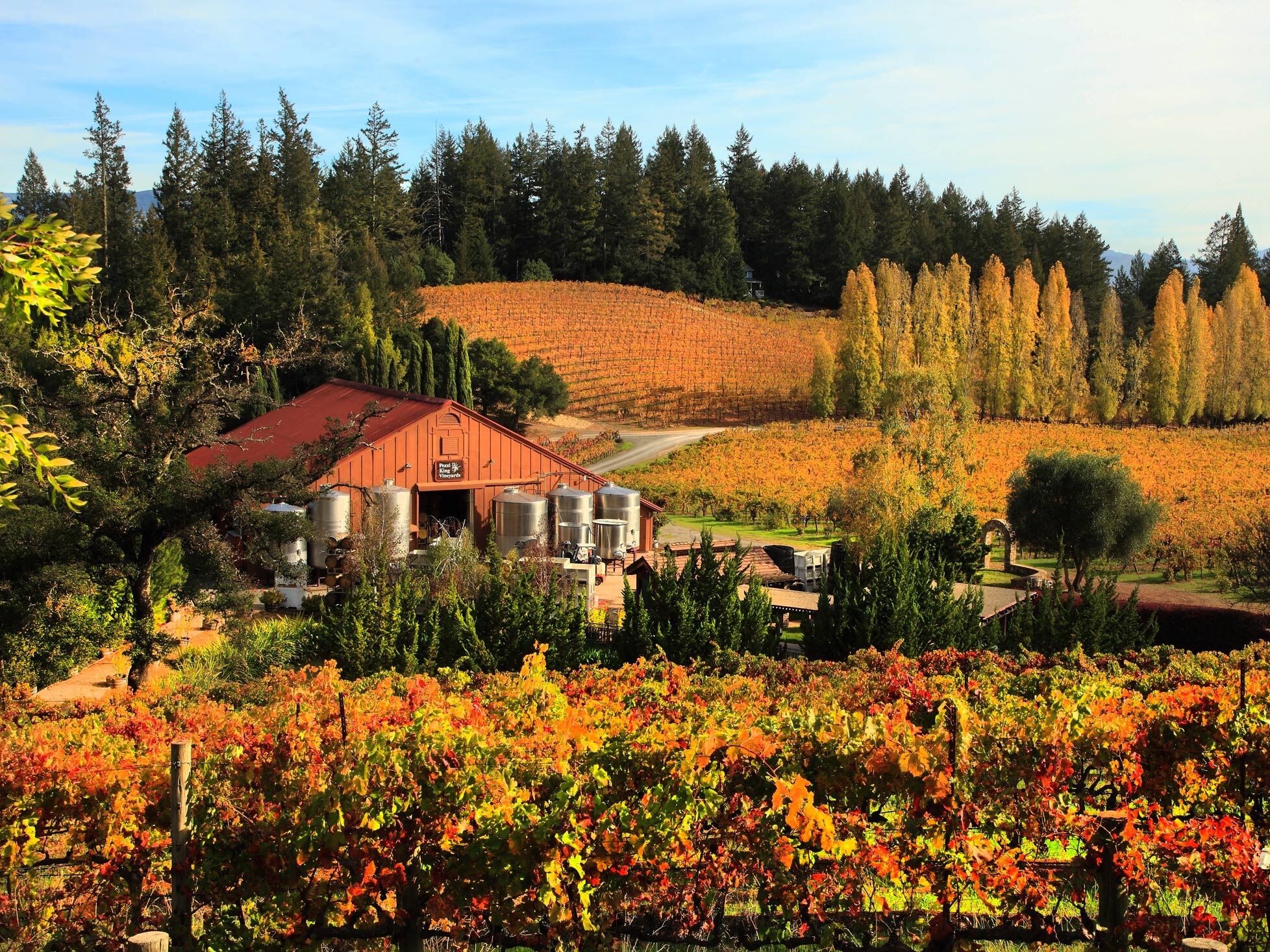 Picture of Pezzi King Wines