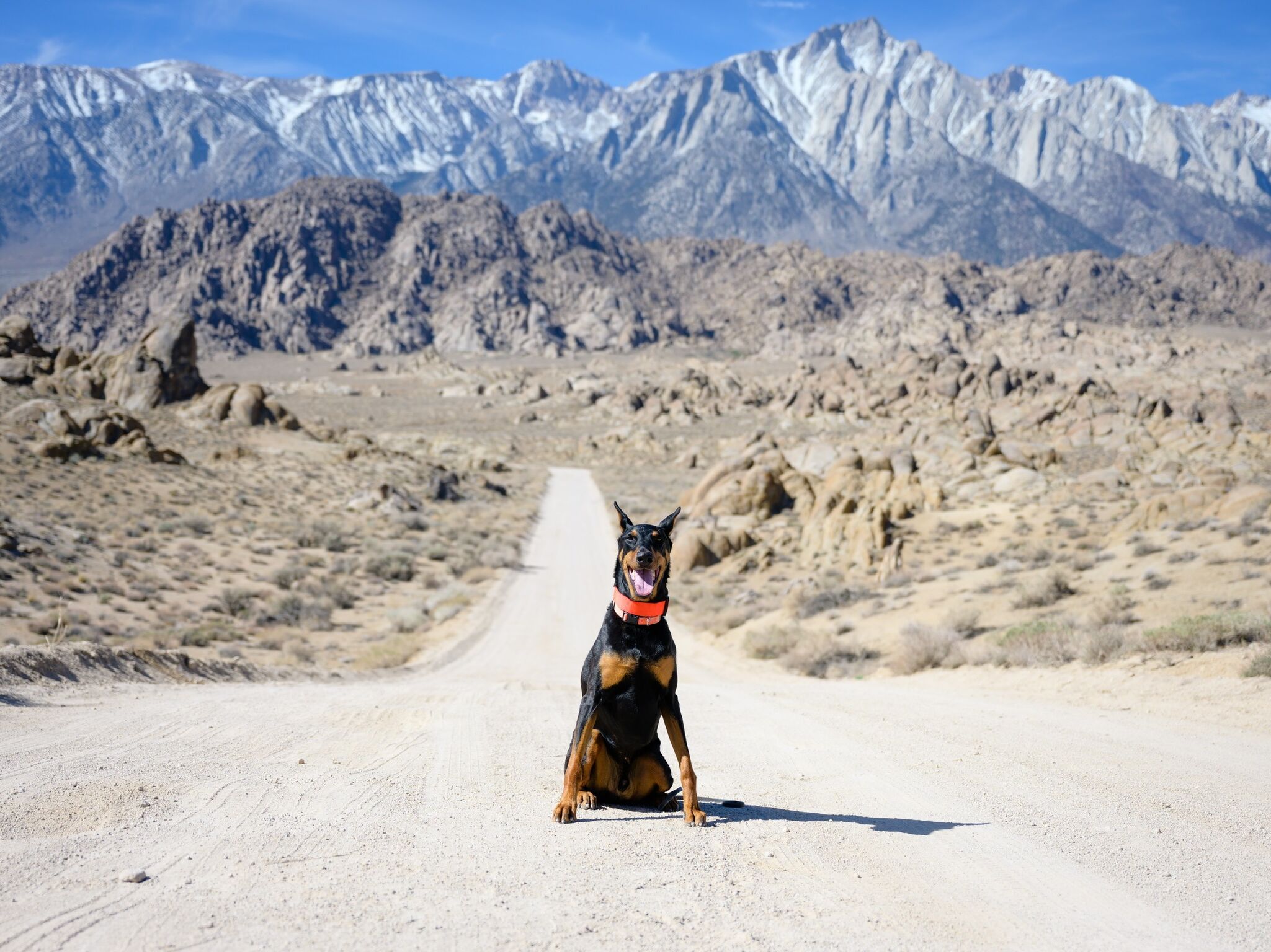 Picture of Alabama Hills
