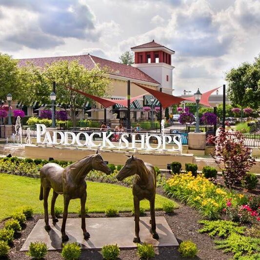 Picture of Paddock Shops