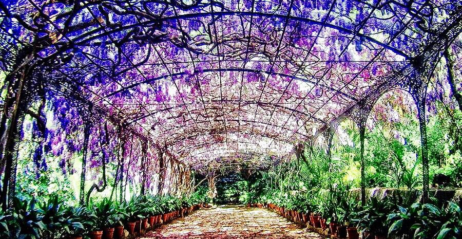 Picture of Jardín Botánico-Histórico La Concepción