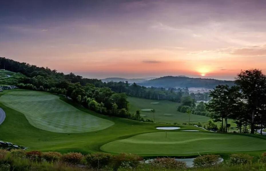 Picture of GOLF