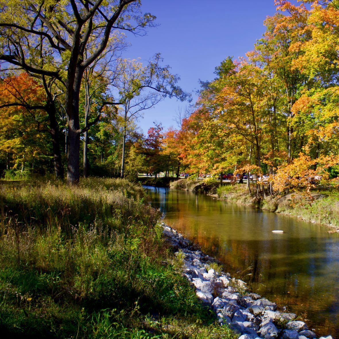 Picture of Petrifying Springs Park