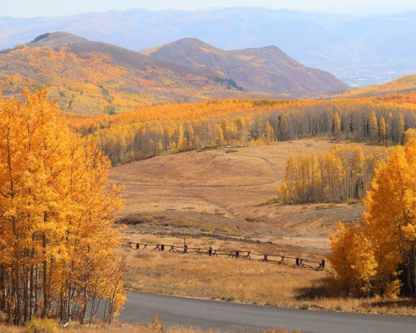 Picture of Take A Scenic Drive