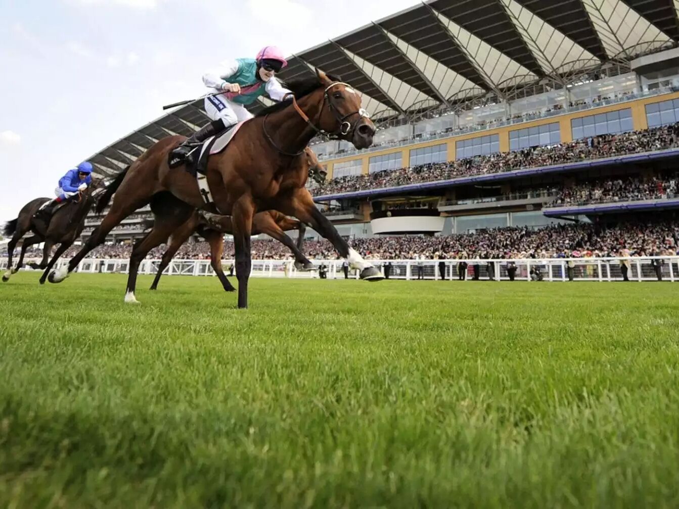Picture of Ascot Racecourse