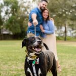 Bucky "The best Ring Bearer" DeLong-Malave