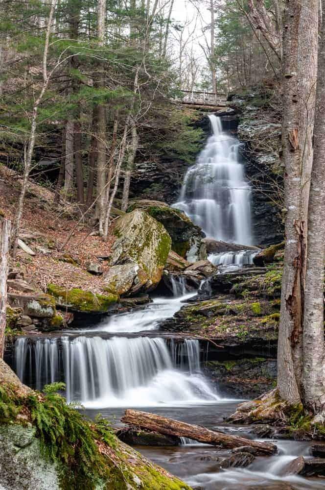 Picture of Ricketts Glen State Park