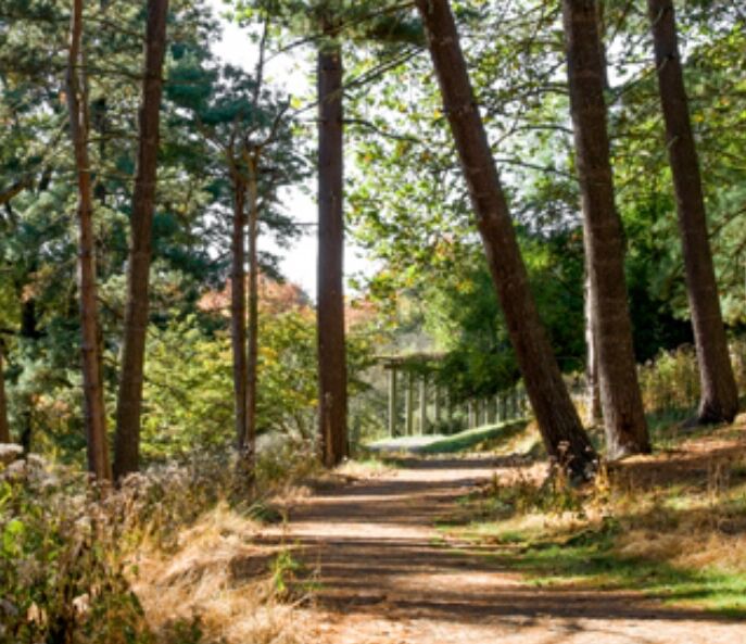 Picture of Walking & Hiking Trails