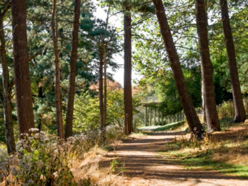 Picture of Walking & Hiking Trails