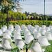 White Eames-style chairs were used at the ceremony and doubled as seating at the reception at Scott's parents' home in San Rafael, California.