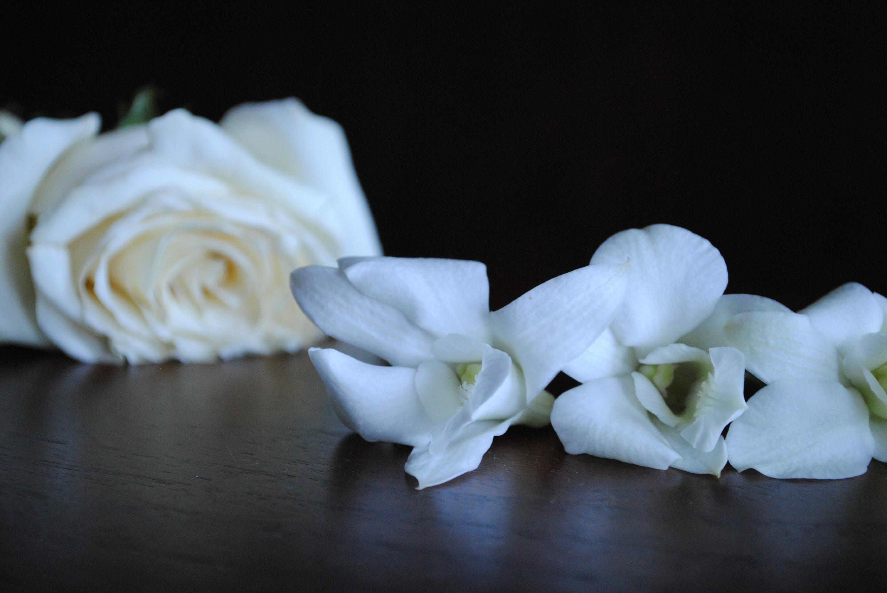 Album Photo 27