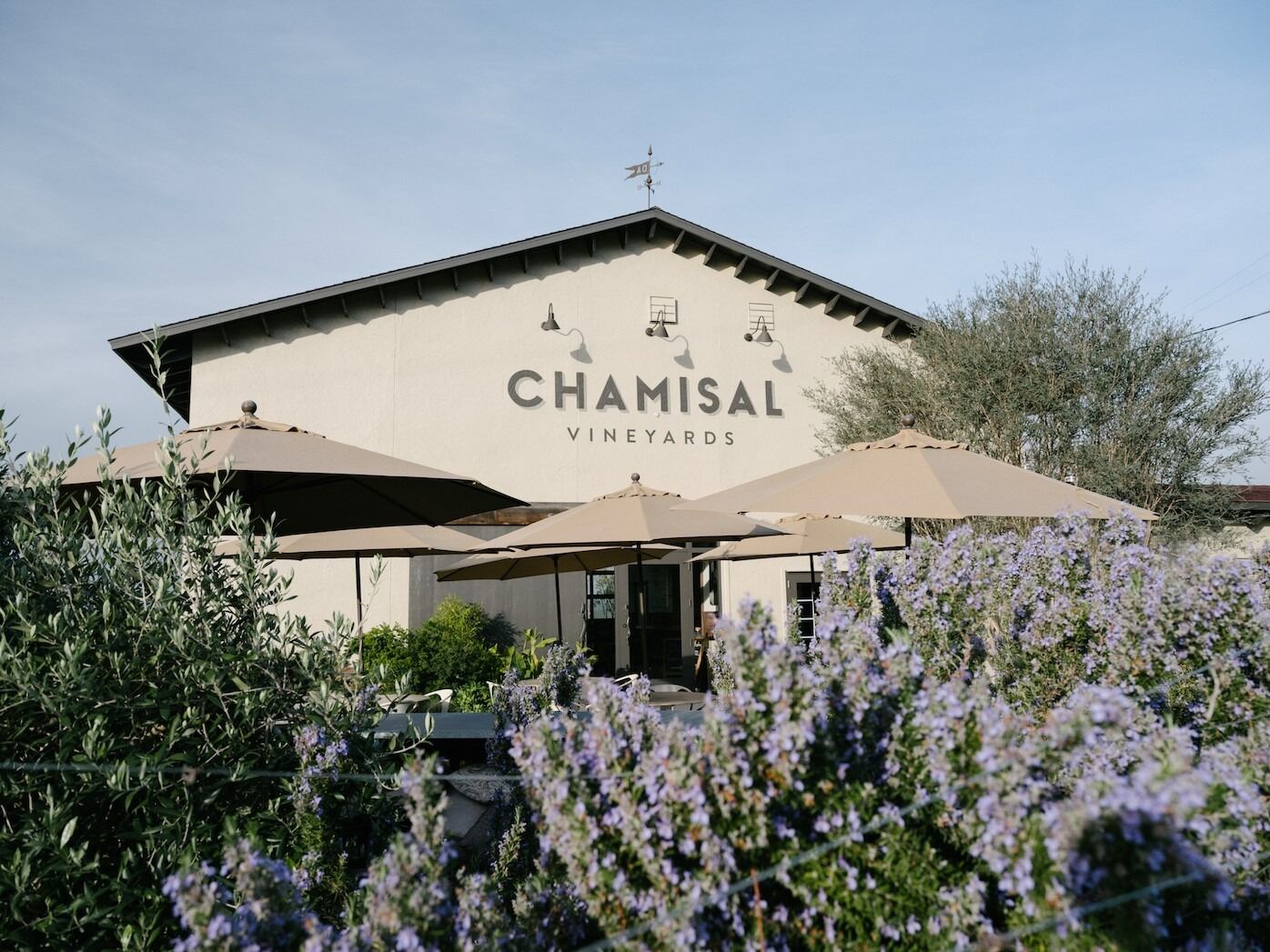 Picture of Chamisal Vineyards