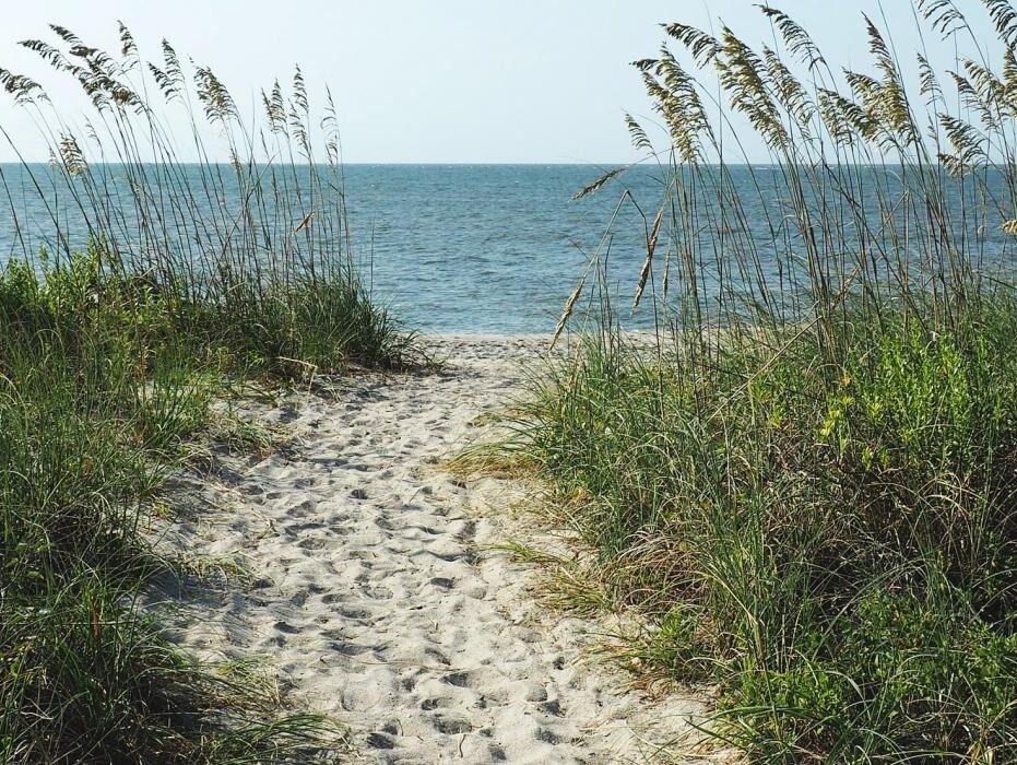 Picture of Edisto Beach