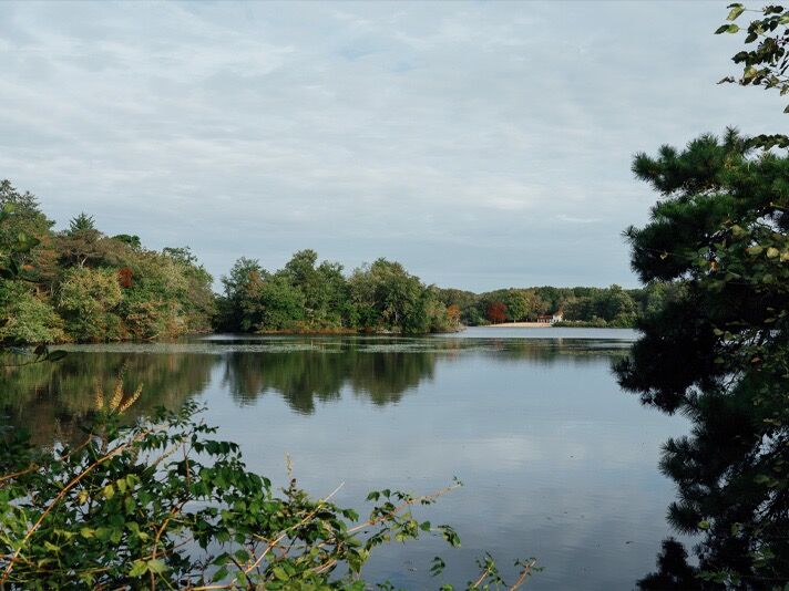 Picture of Parvin State Park