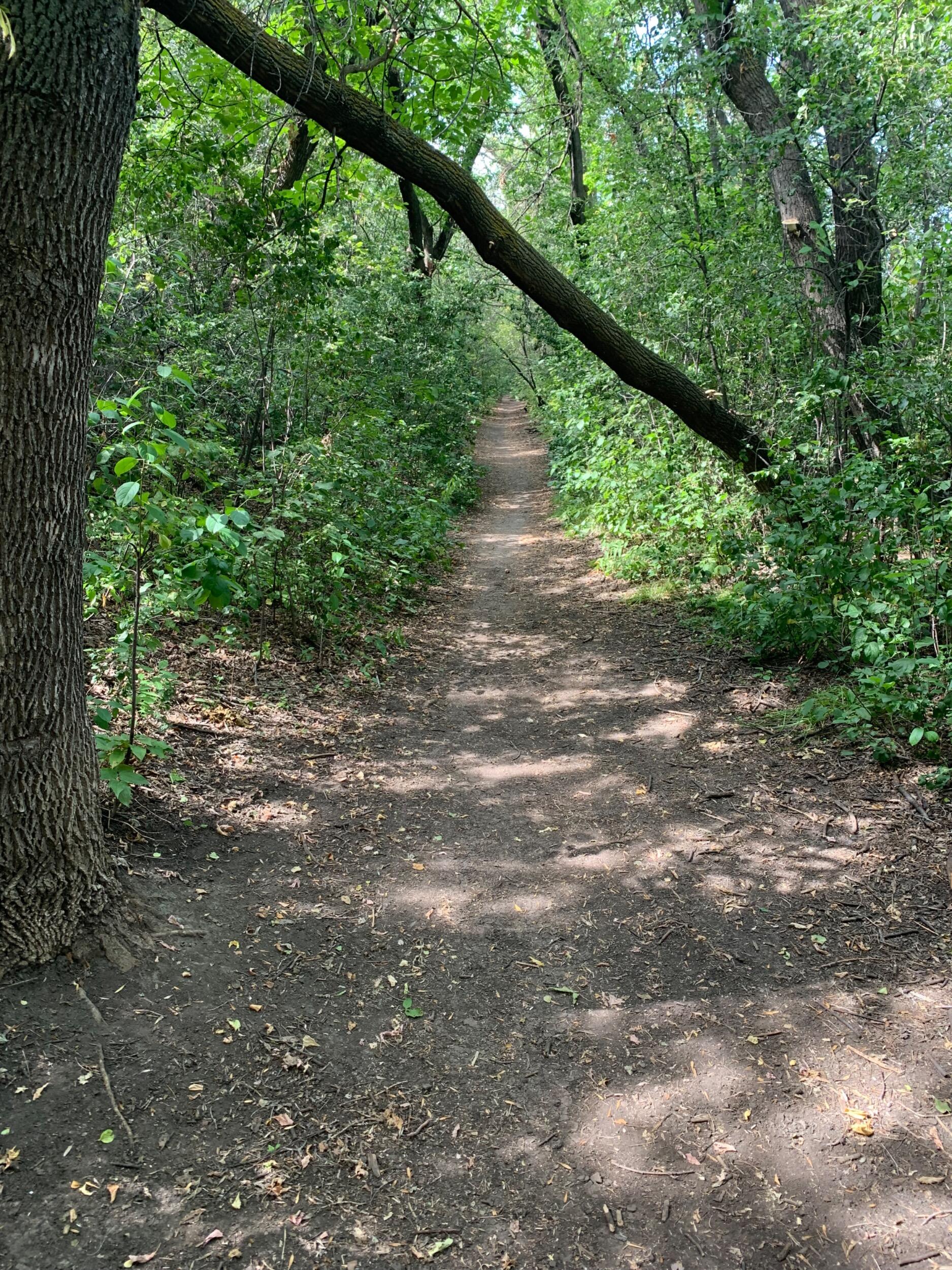 Picture of Sutherland Beach Dog Park