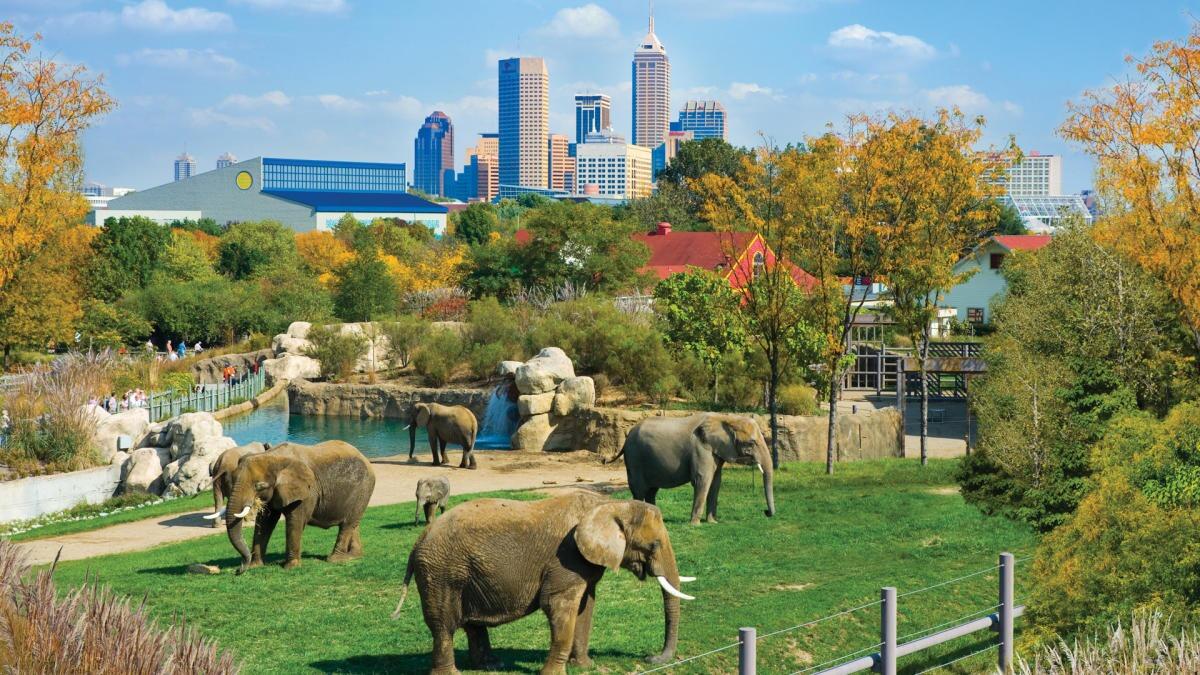 Picture of Indianapolis Zoo