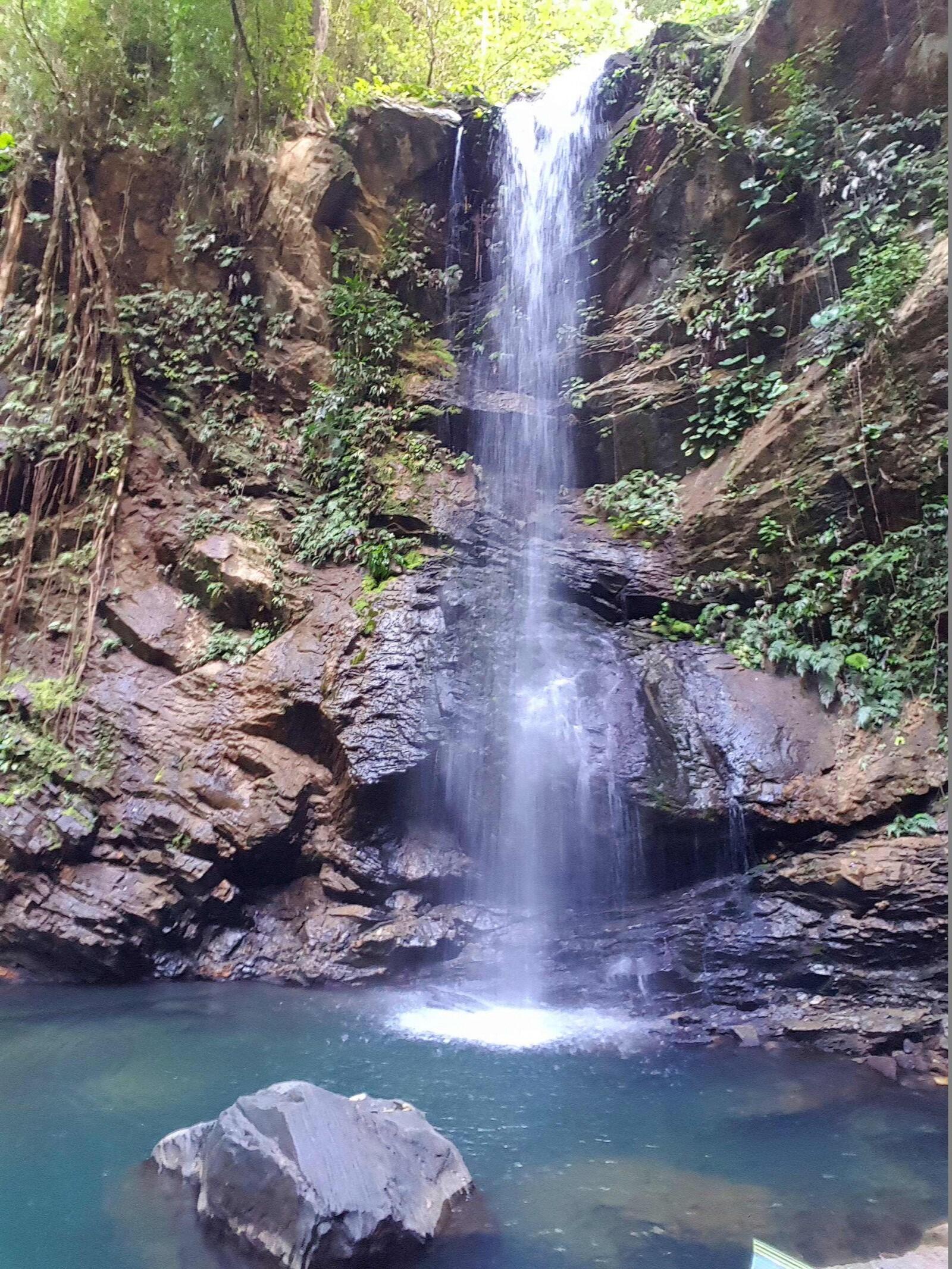 Picture of Avocat Waterfall