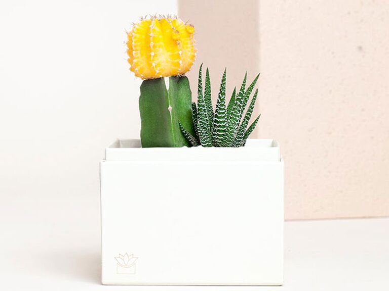 Cute mini succulent garden bridesmaid gift idea