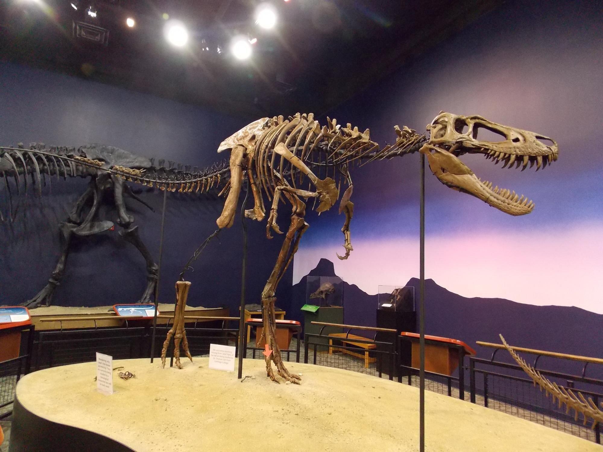 Picture of Burpee Museum of Natural History