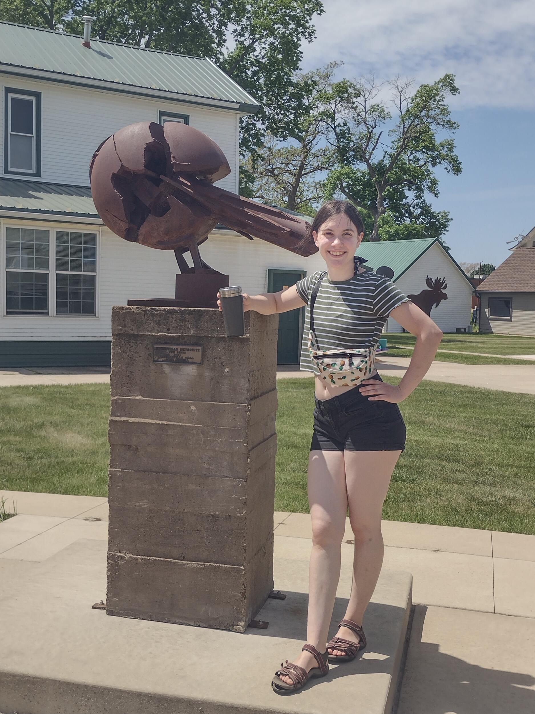 Picture of Estherville Meteorite Center