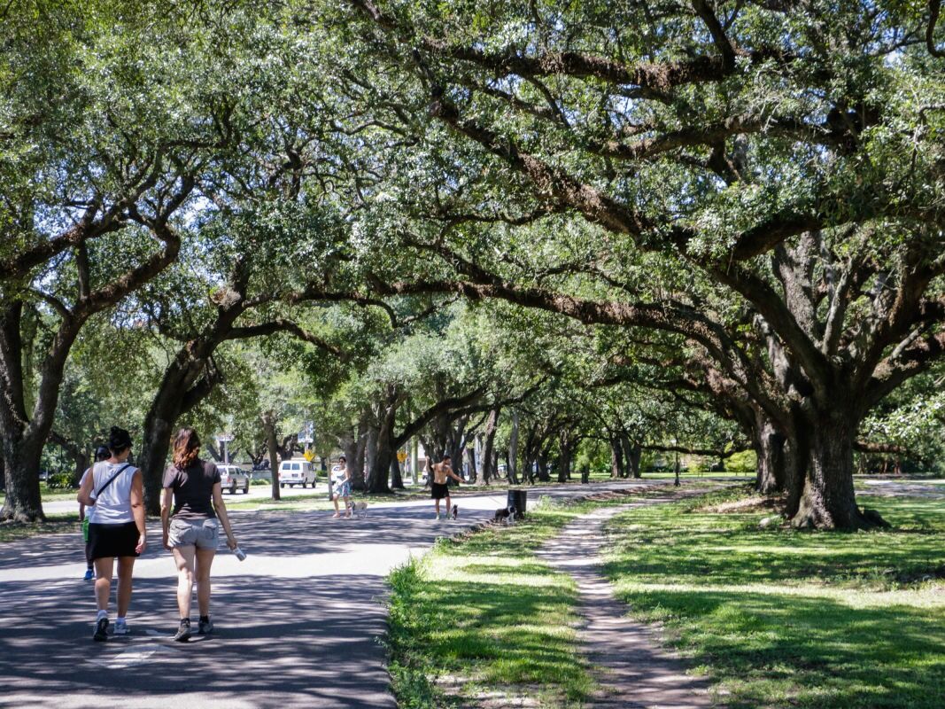 Picture of Audubon Park