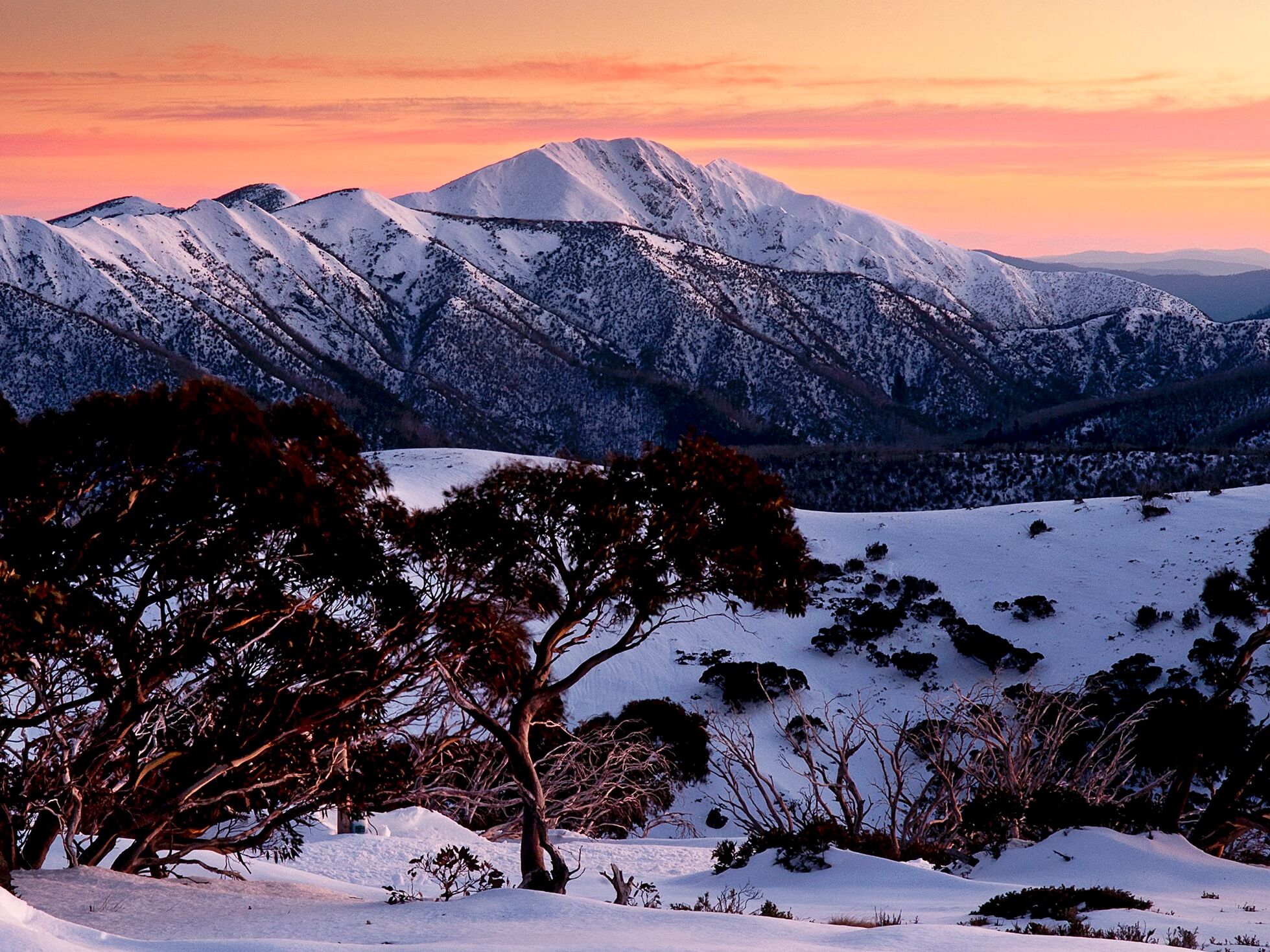 Picture of Snowy Mountains