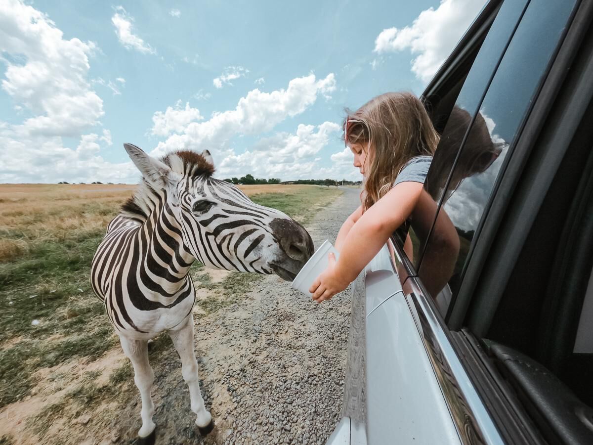 Picture of Tennessee Safari Park