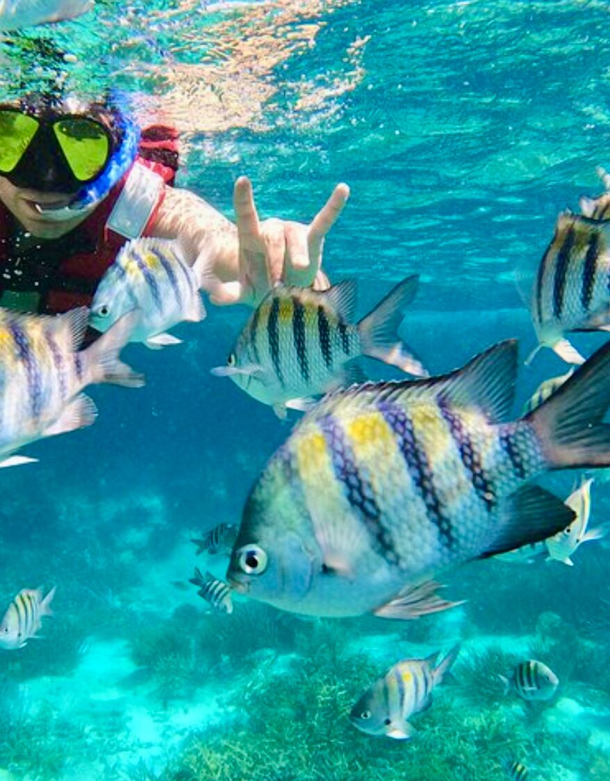 Picture of Isla Mujeras Snorkeling Tour Adventure