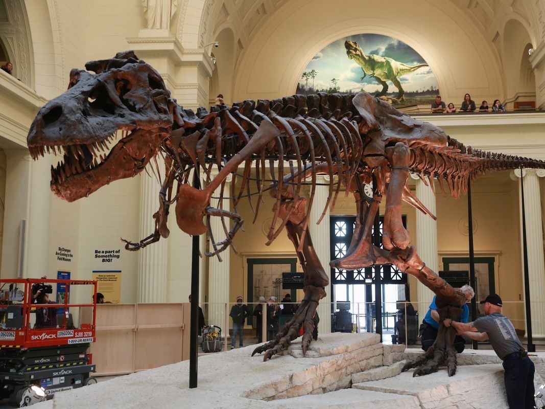 Picture of Field Museum