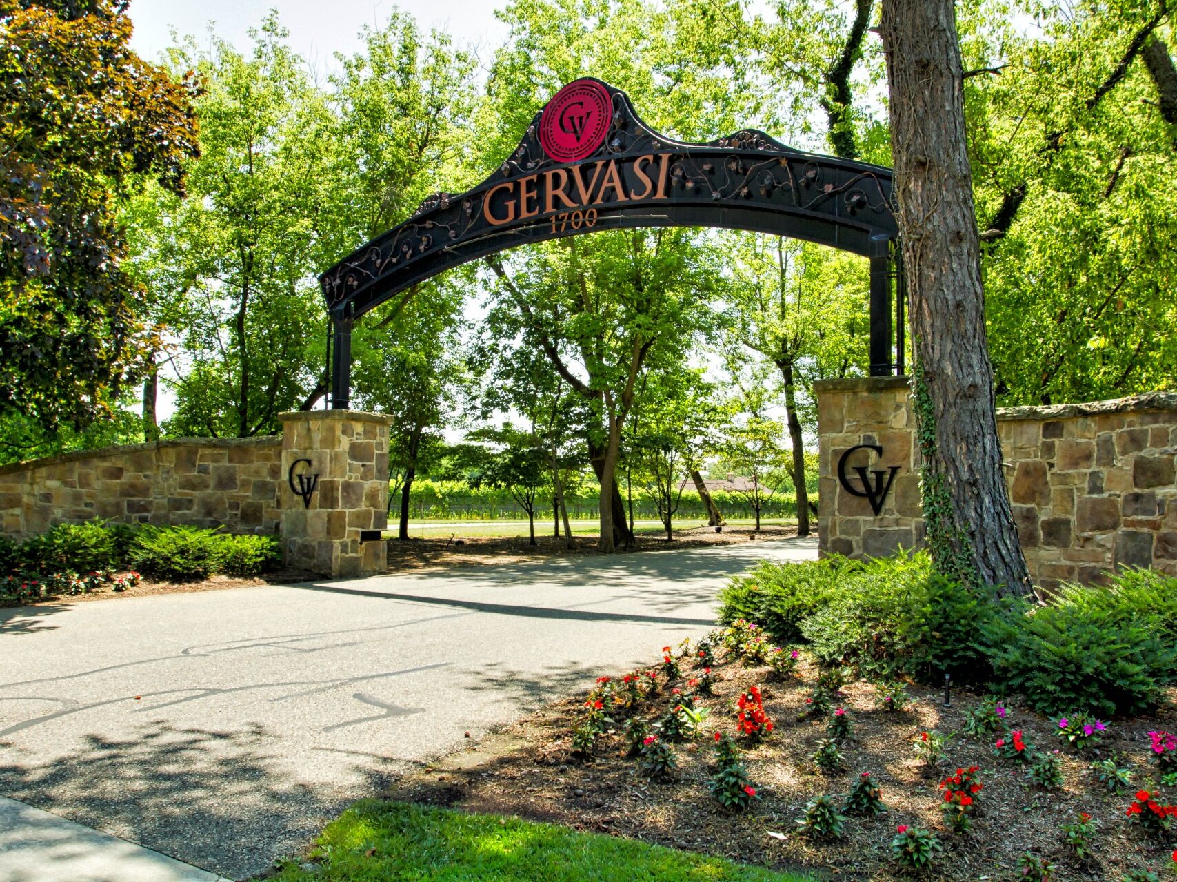 Picture of Gervasi Vineyard