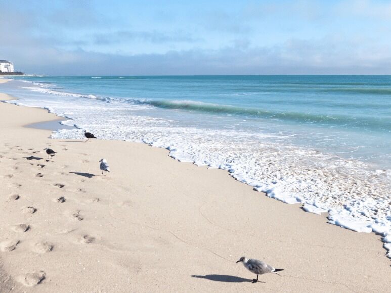 Picture of Go to the beach