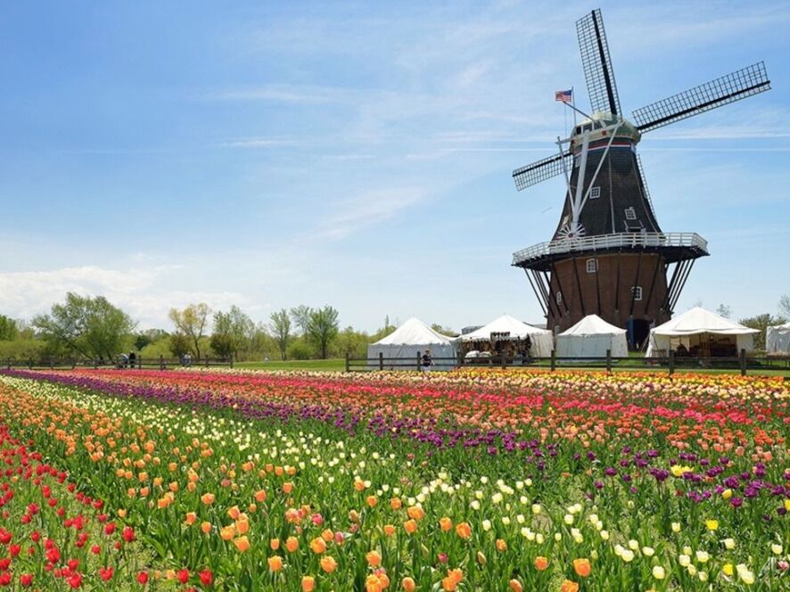 Picture of Windmill Island Gardens